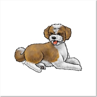 Dog - Aussiedoodle - Brown and White Posters and Art